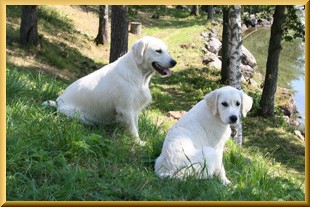 Cherri och Sky